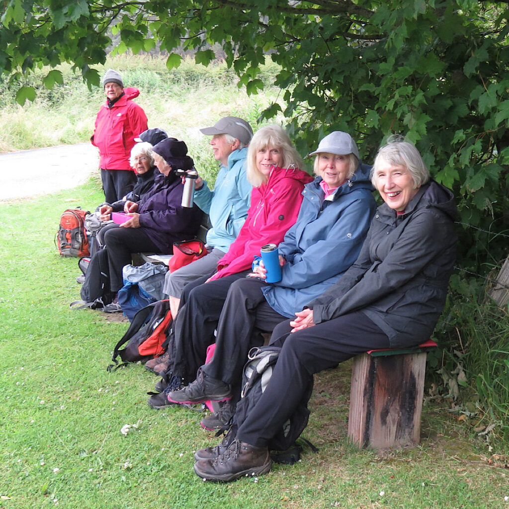 walking group take a rest under a tree by sitting on a bench